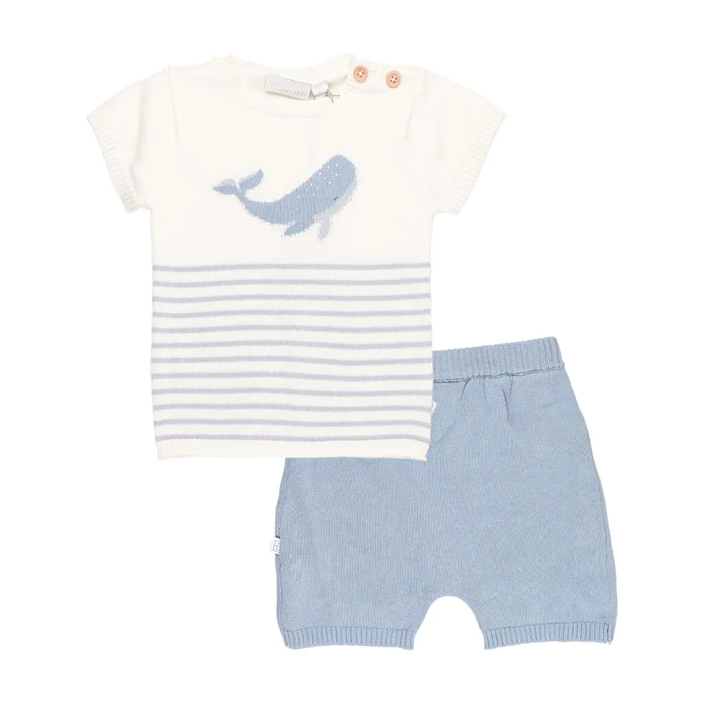 2 Piece Knit Short Set - Whale