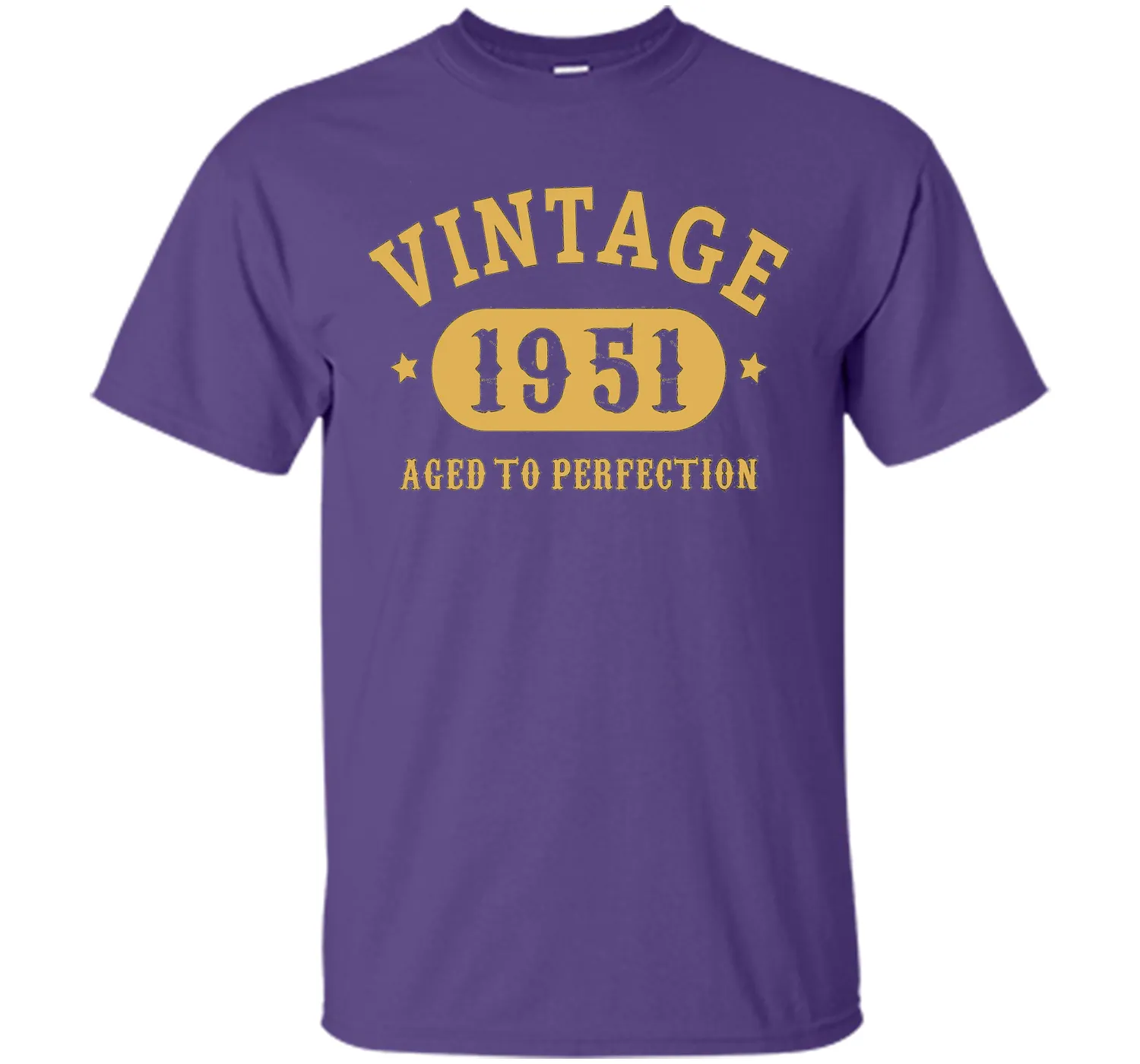 66th Birthday B-day Gift 66 years old 1951 T-Shirt