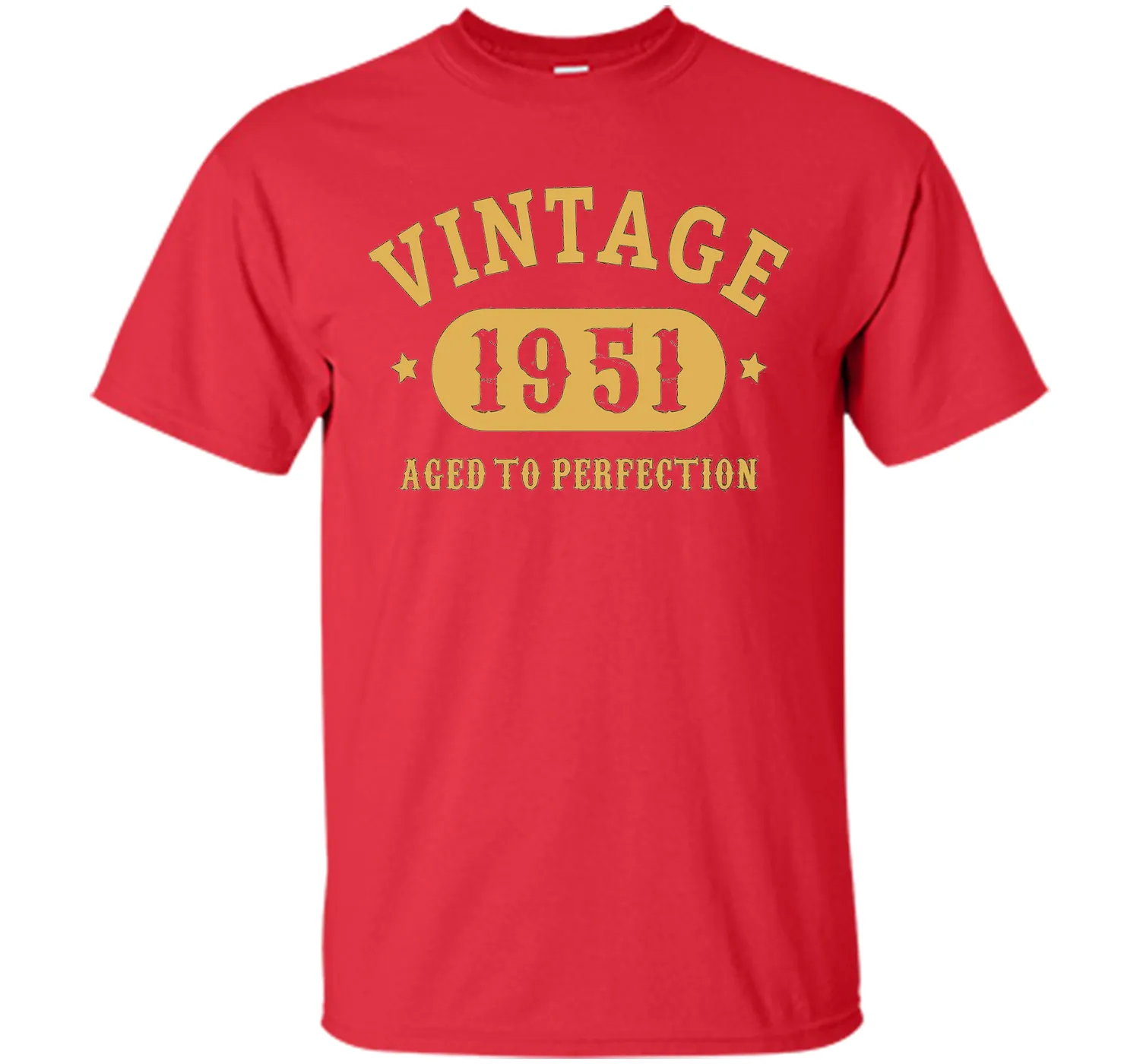 66th Birthday B-day Gift 66 years old 1951 T-Shirt