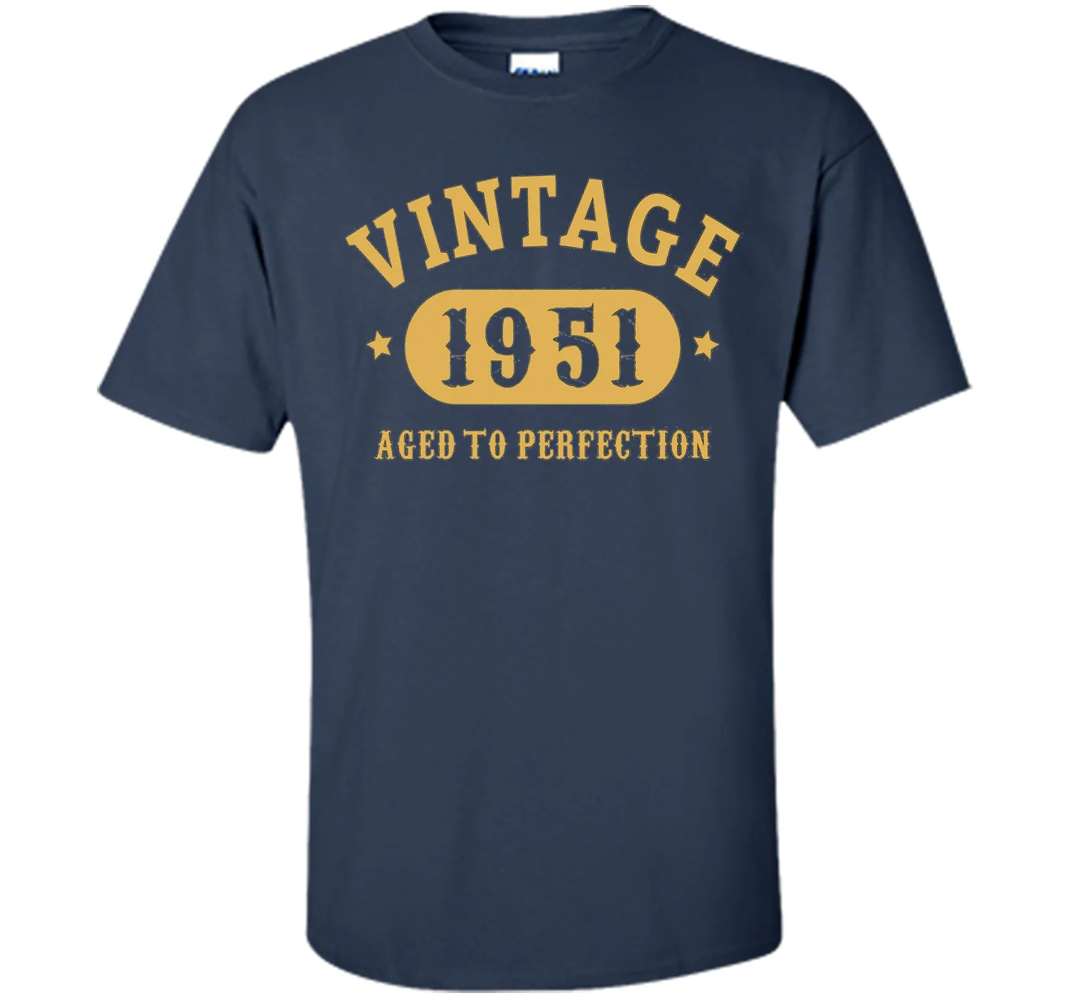 66th Birthday B-day Gift 66 years old 1951 T-Shirt