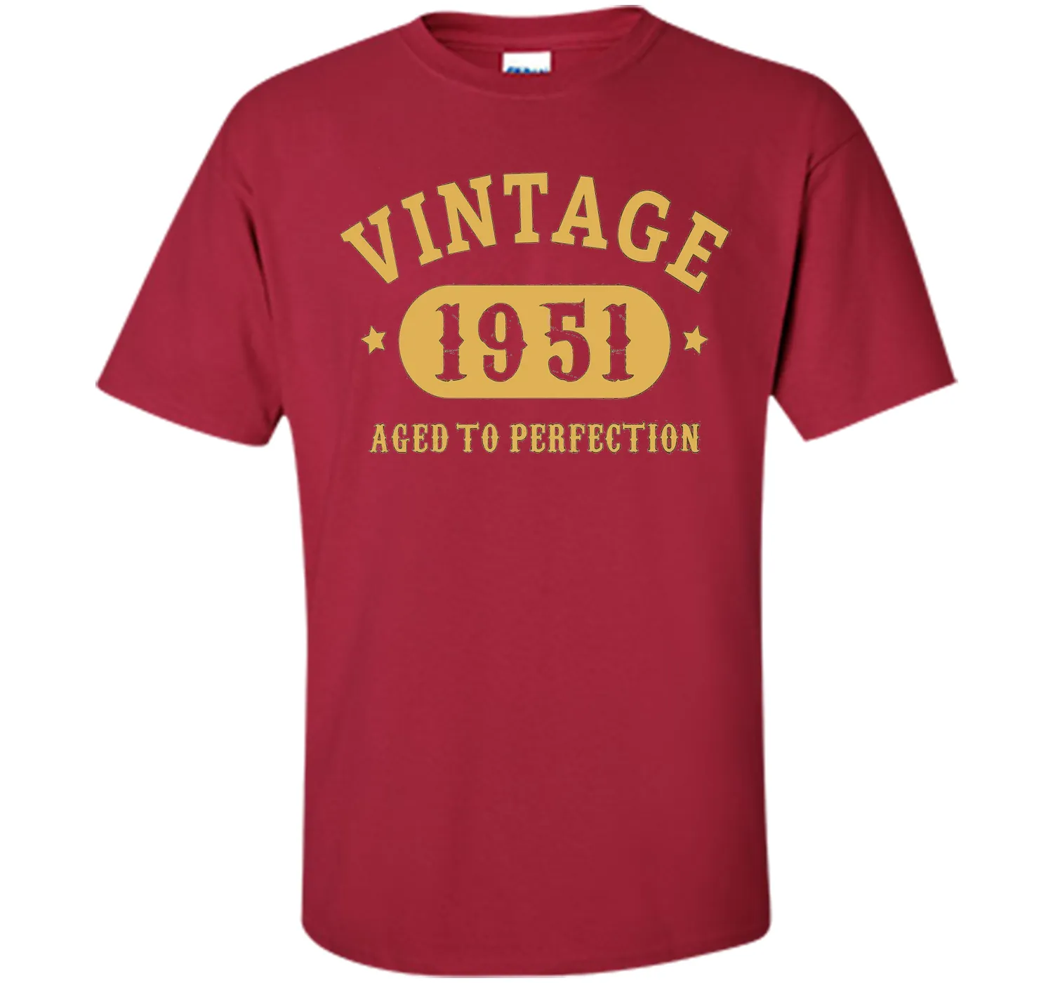 66th Birthday B-day Gift 66 years old 1951 T-Shirt