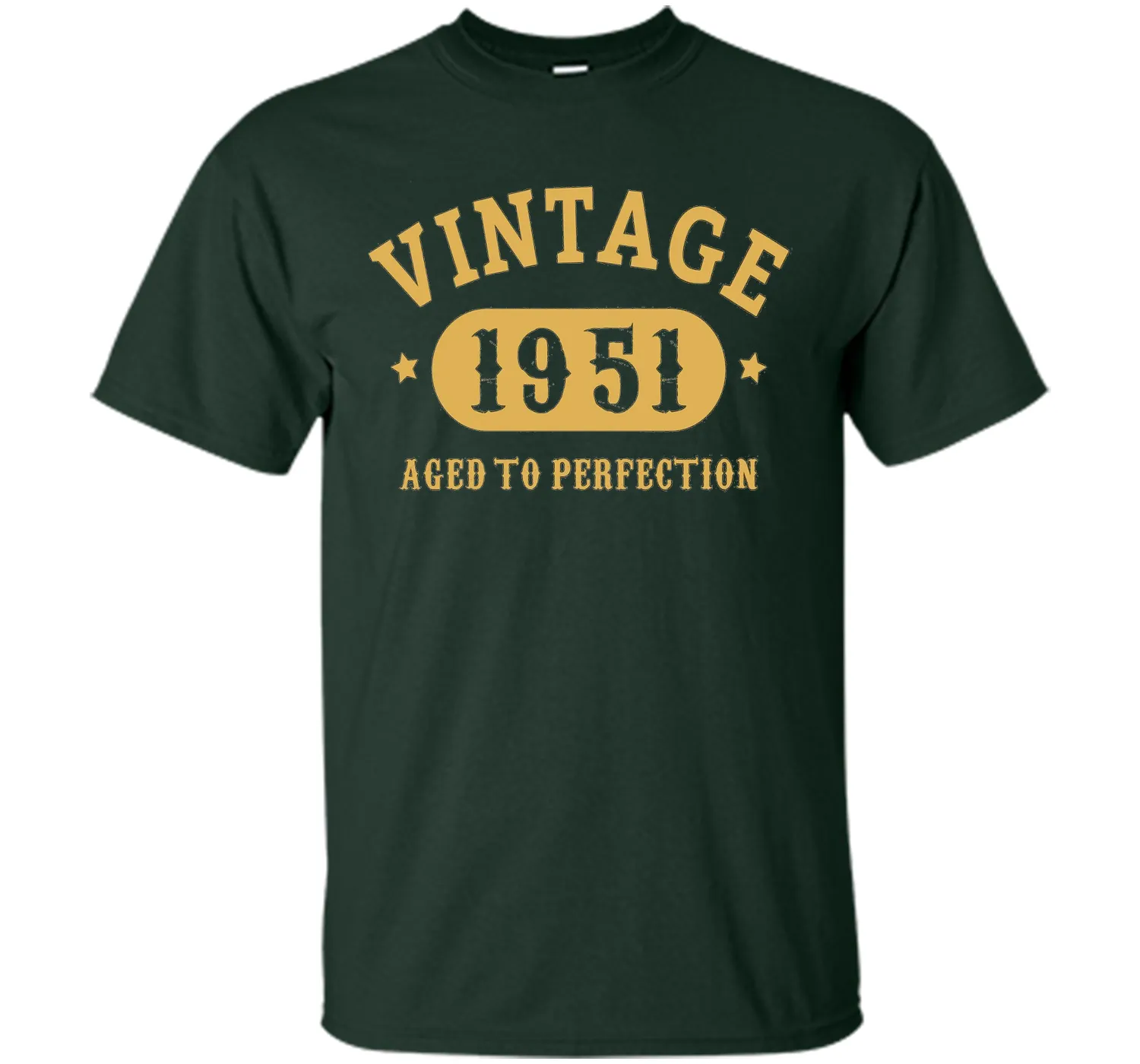 66th Birthday B-day Gift 66 years old 1951 T-Shirt