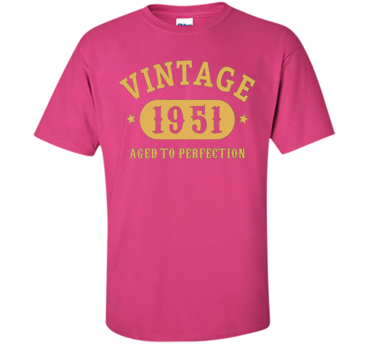 66th Birthday B-day Gift 66 years old 1951 T-Shirt