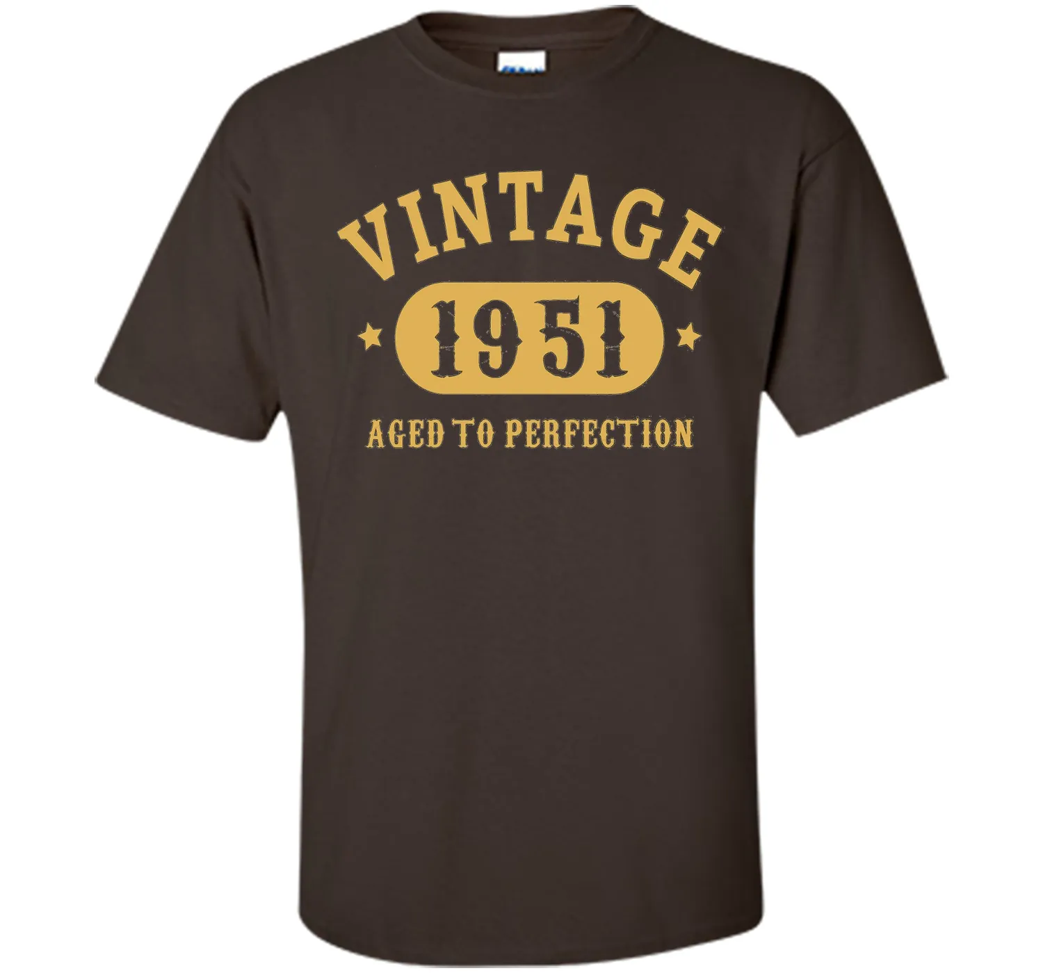66th Birthday B-day Gift 66 years old 1951 T-Shirt