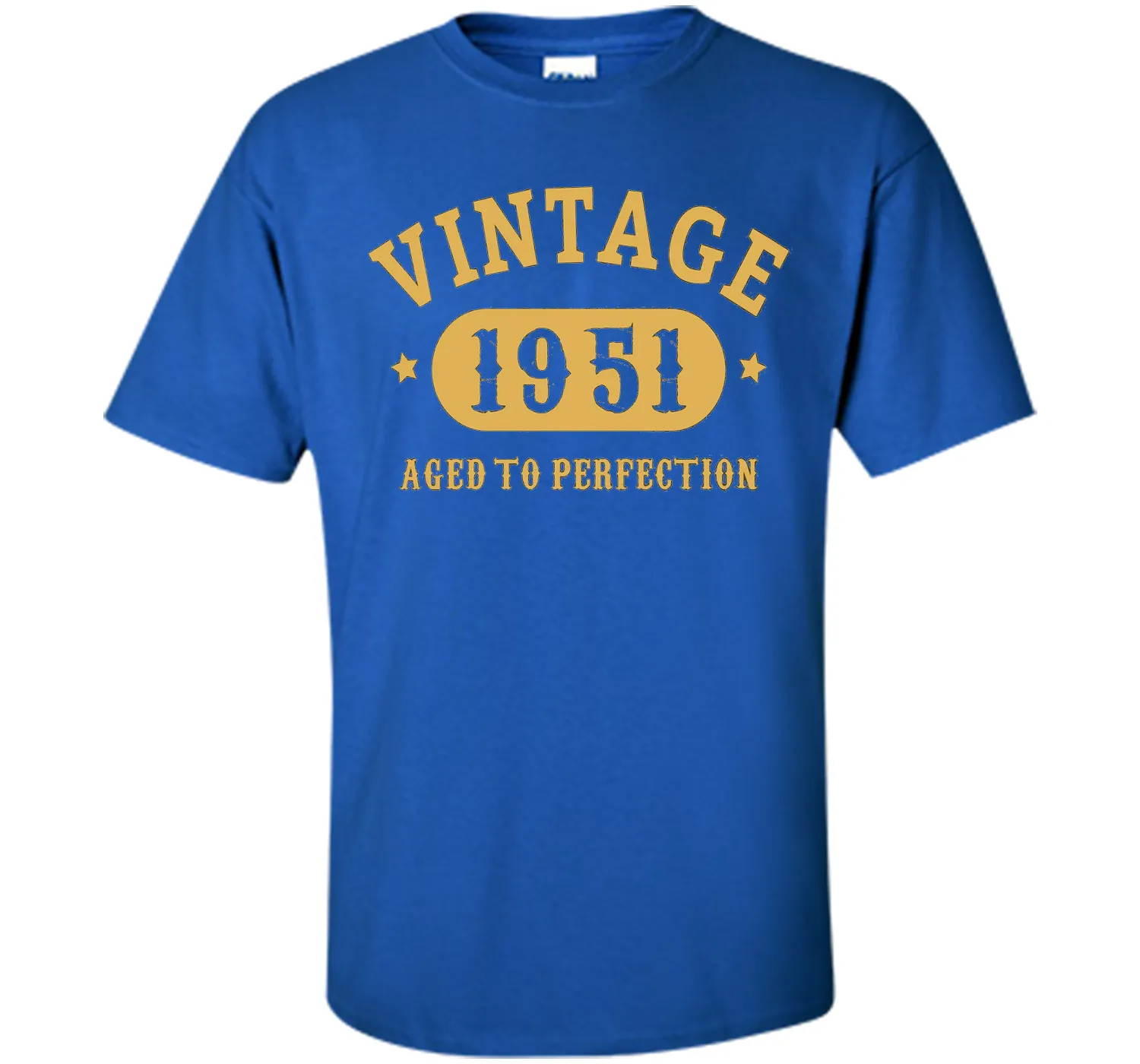 66th Birthday B-day Gift 66 years old 1951 T-Shirt