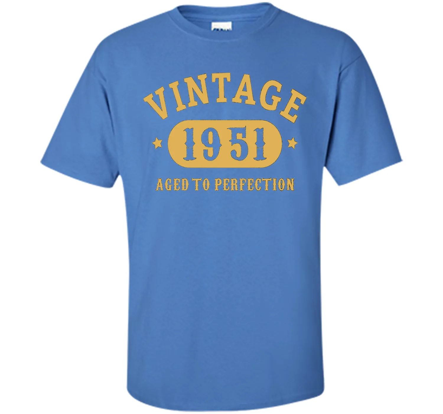 66th Birthday B-day Gift 66 years old 1951 T-Shirt