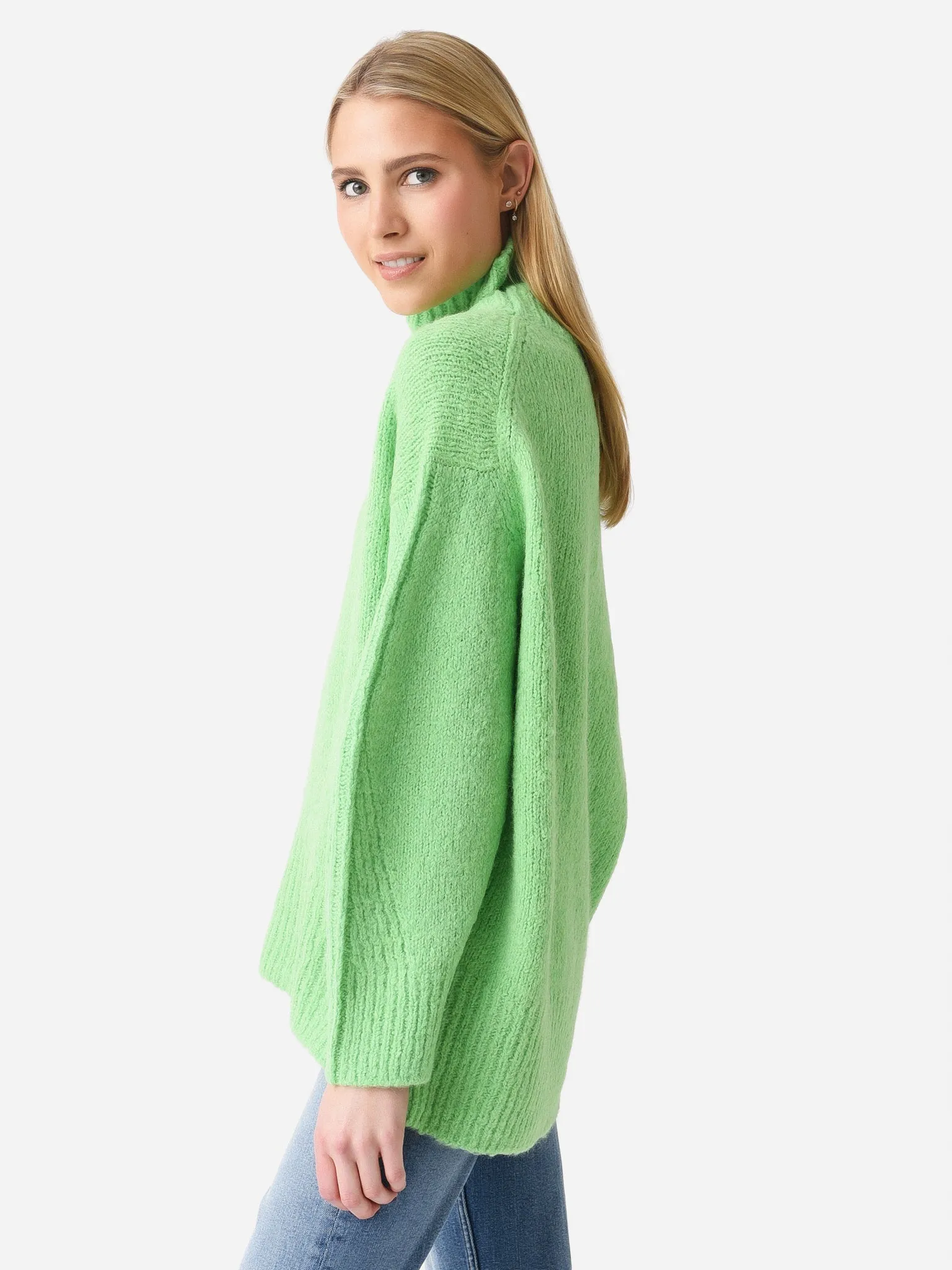 ALC Women's Nelson Wool Turtleneck Sweater