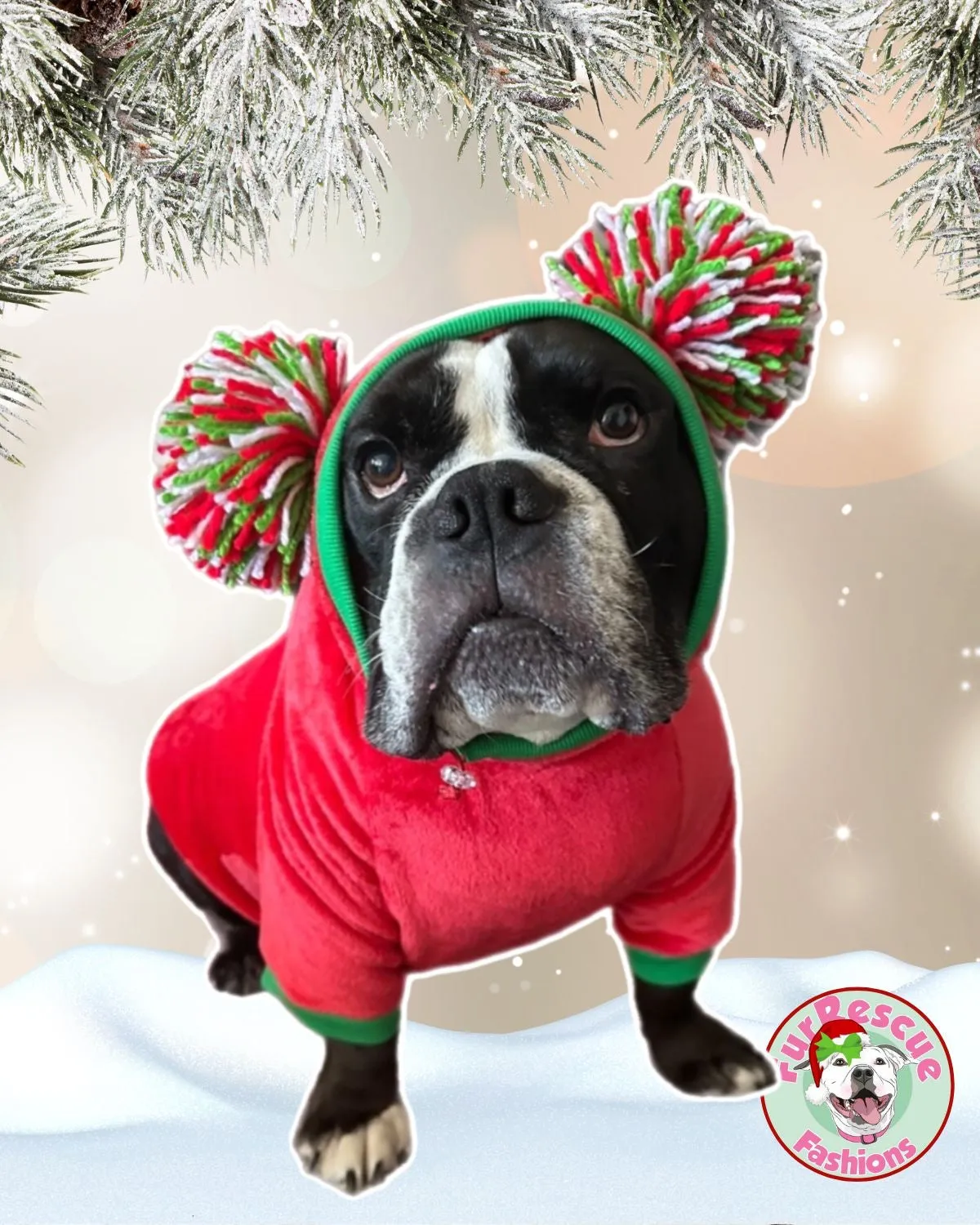 Christmas Dog Sweater with Long Pompom Snood