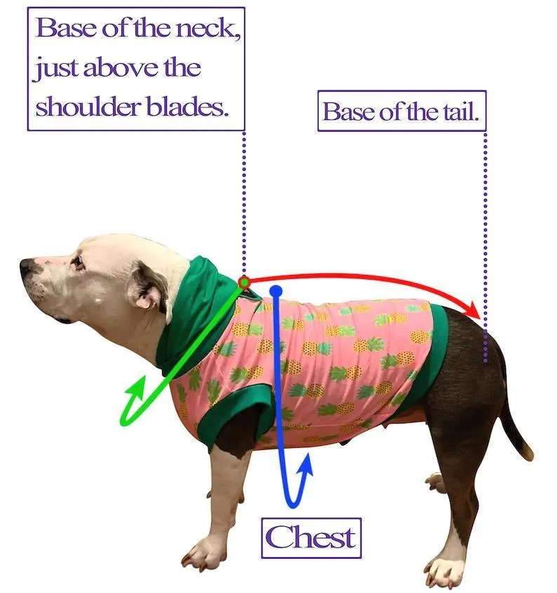 Christmas Dog Sweater with Long Pompom Snood