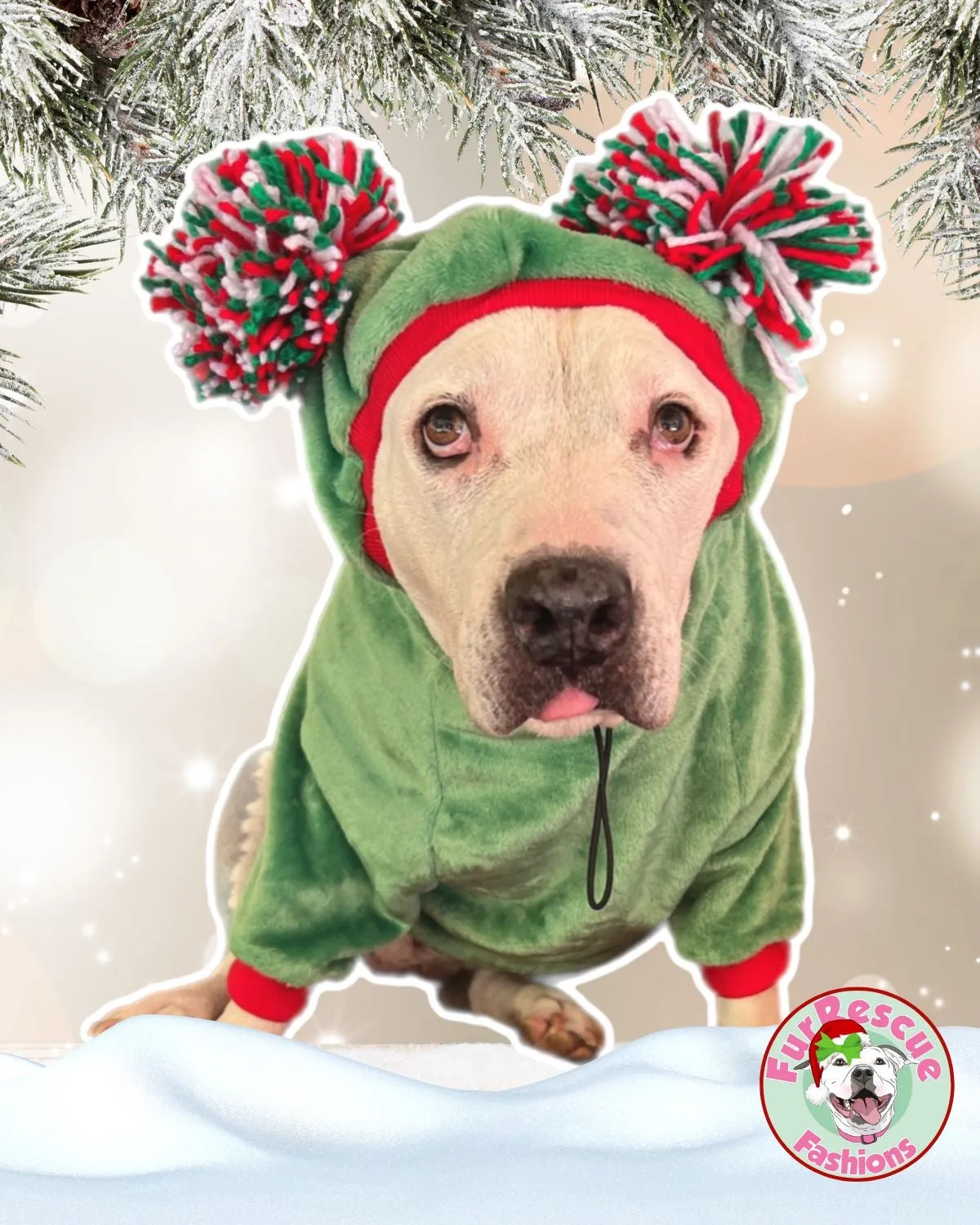 Christmas Dog Sweater with Long Pompom Snood