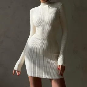 Knitted Turtleneck Long Sleeve Mini Dress