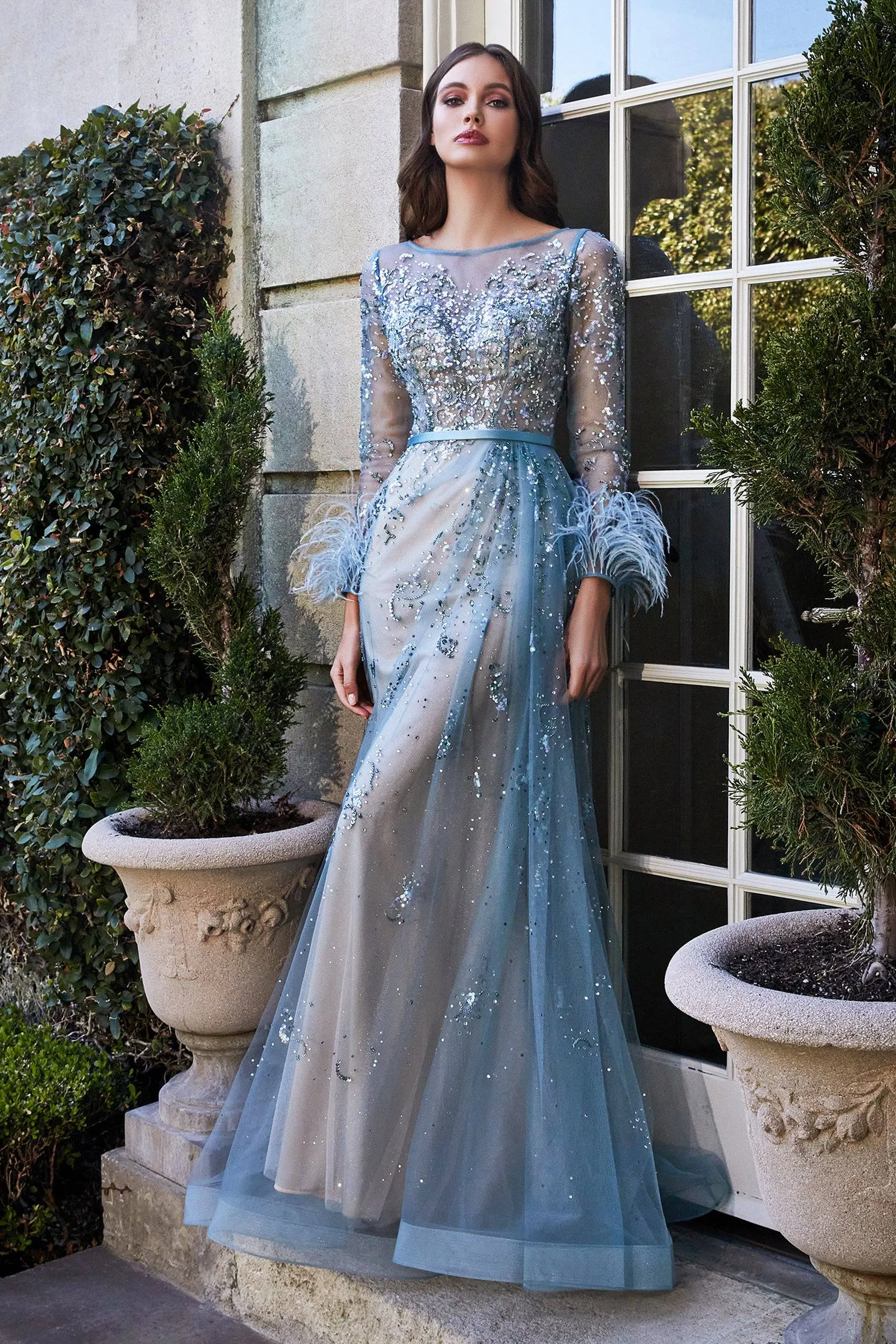 Pretty Long Dress With Sheer Overlay and Feather Accents on Sleeves #CDB716