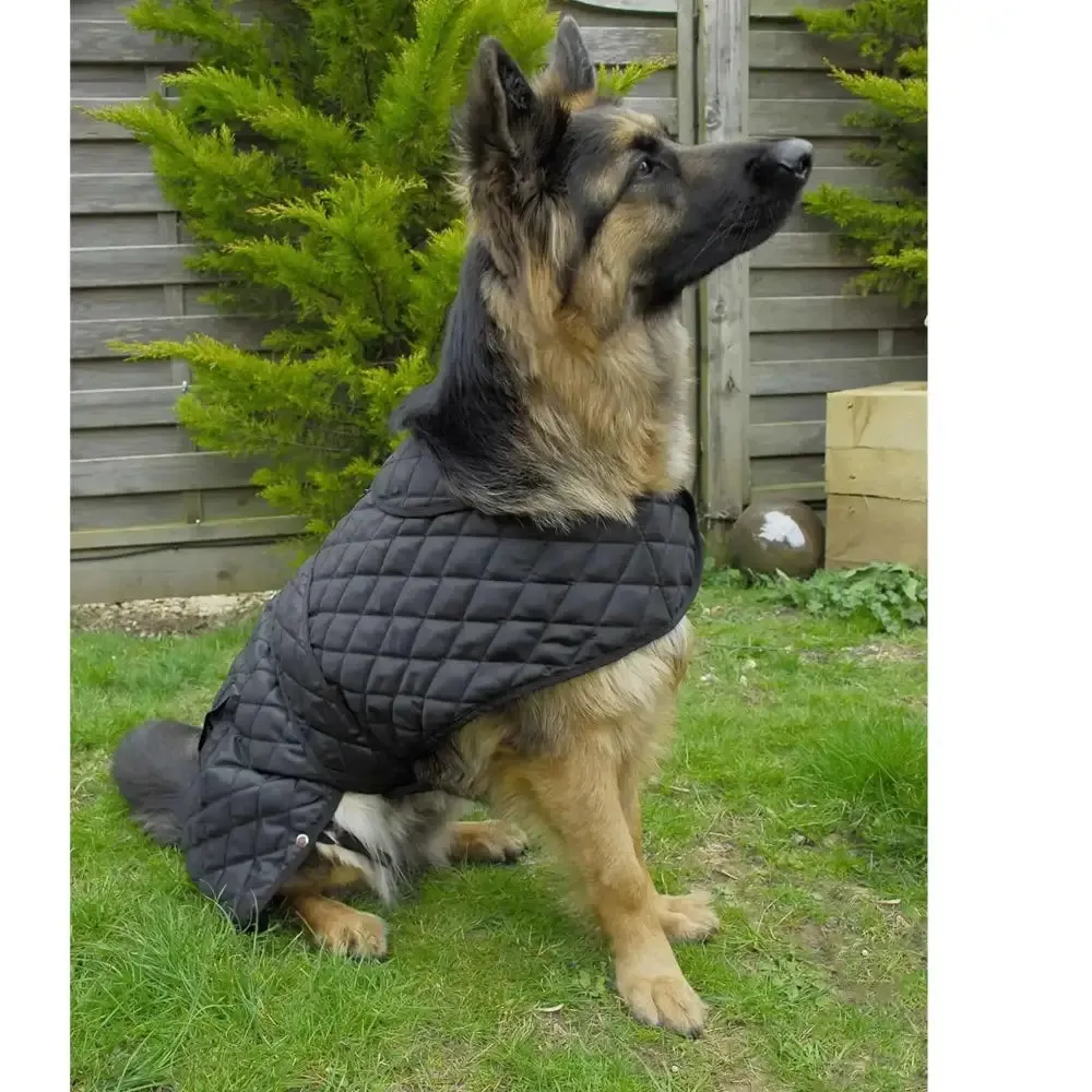 Rhinegold Balmoral Quilted Dog Coat