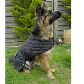 Rhinegold Balmoral Quilted Dog Coat