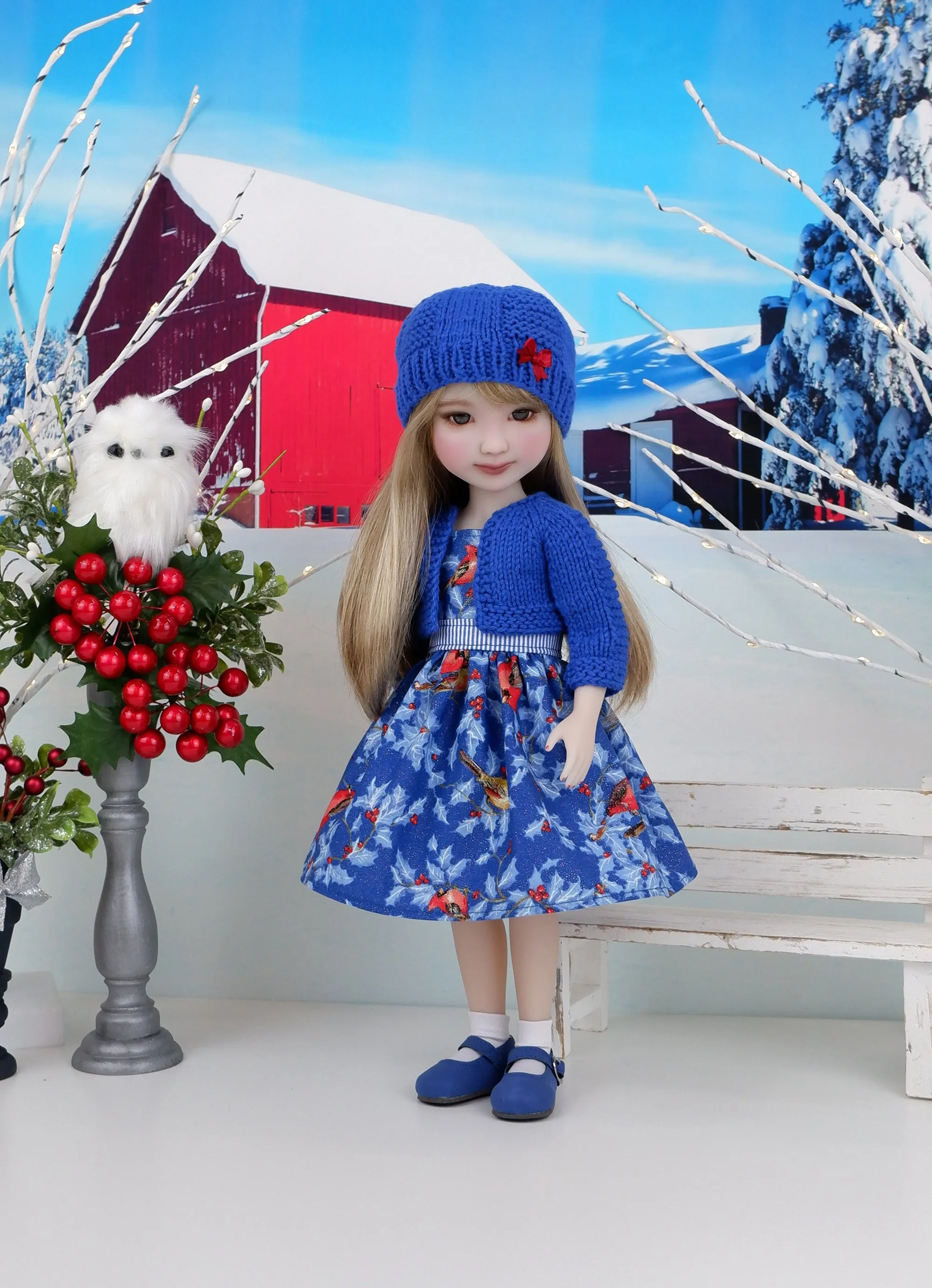 Winter Cardinals - dress and sweater set with shoes for Ruby Red Fashion Friends doll
