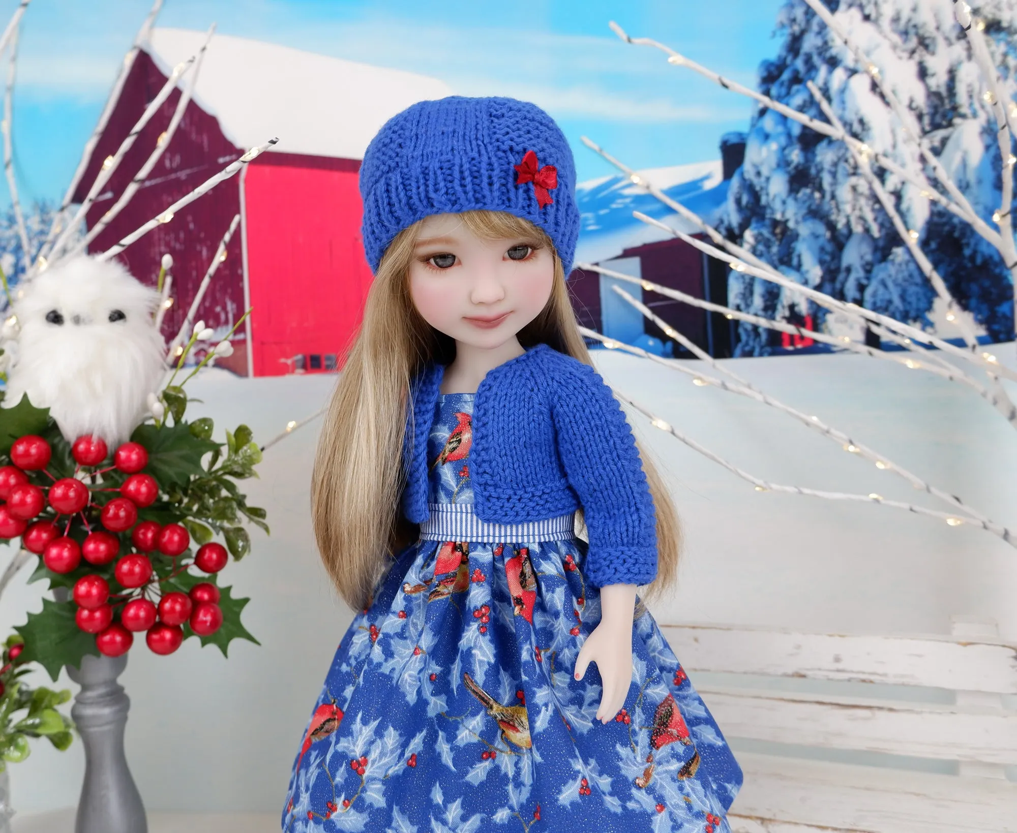 Winter Cardinals - dress and sweater set with shoes for Ruby Red Fashion Friends doll