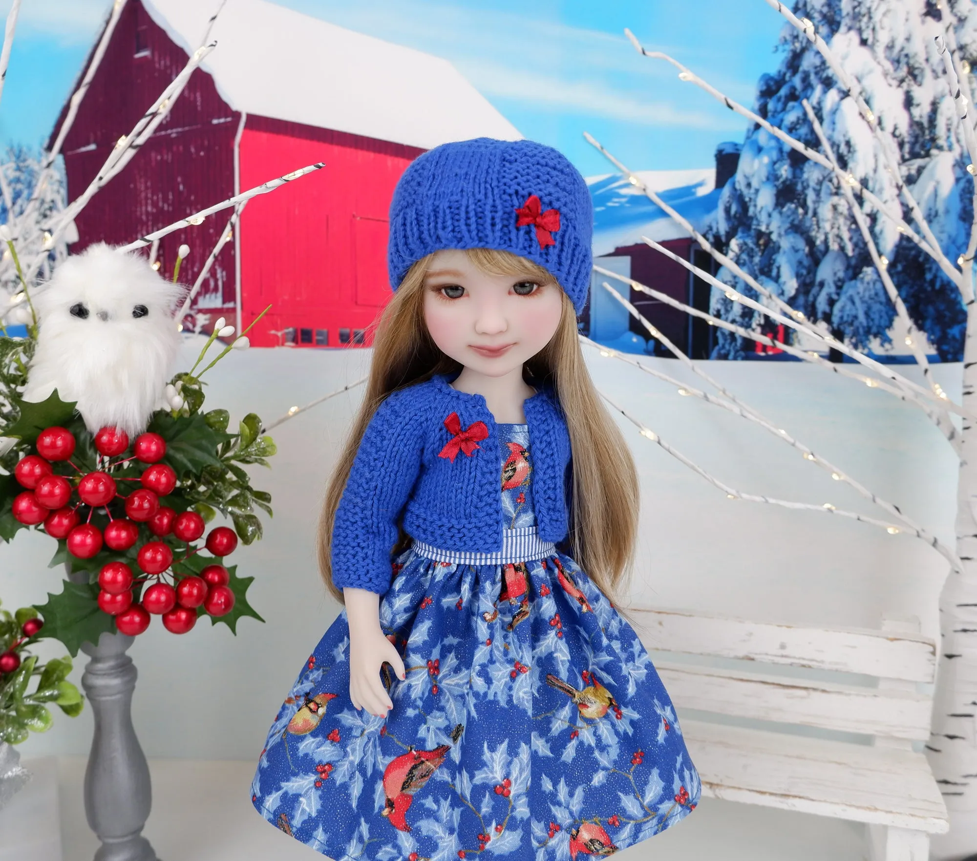 Winter Cardinals - dress and sweater set with shoes for Ruby Red Fashion Friends doll