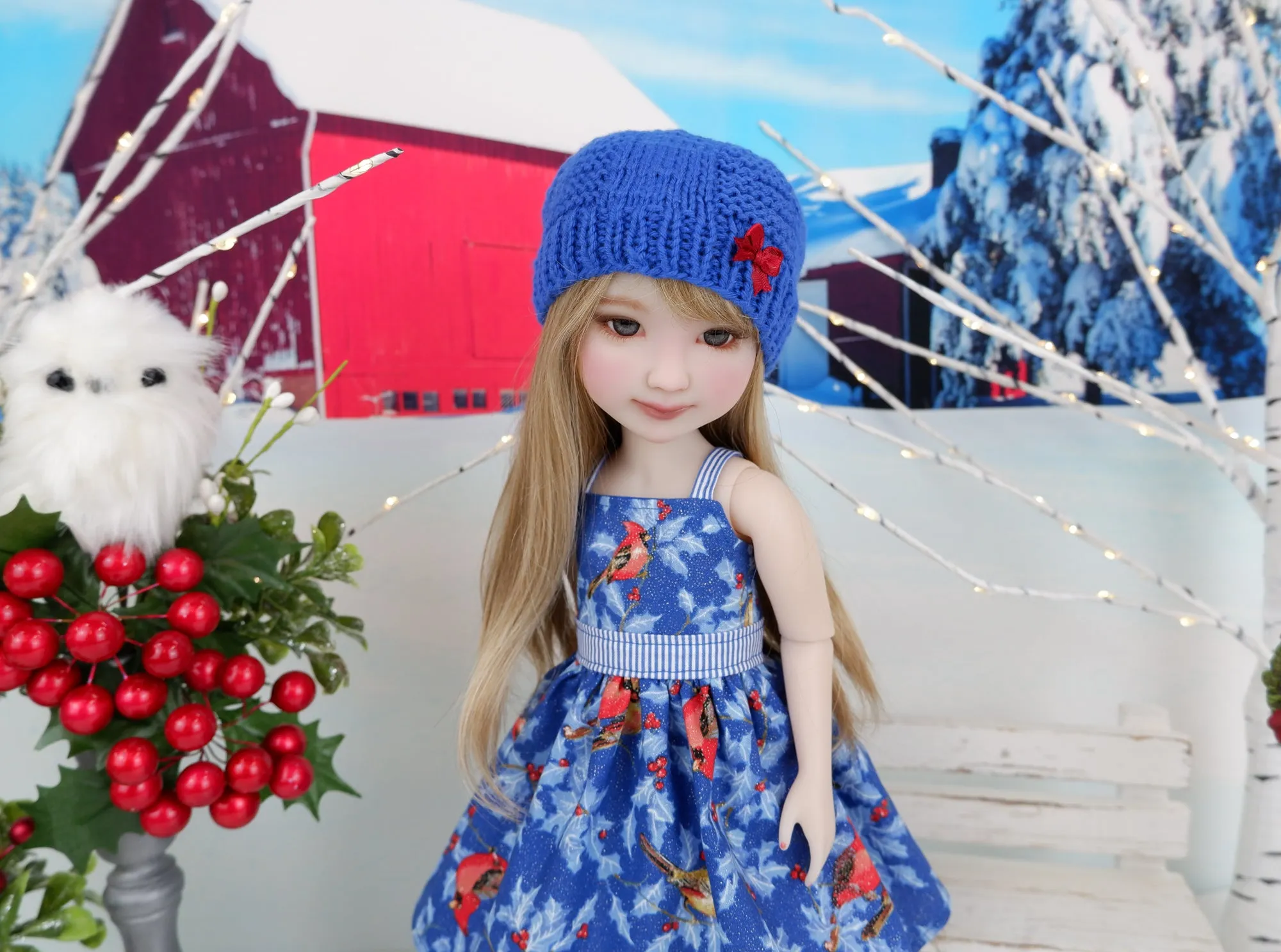 Winter Cardinals - dress and sweater set with shoes for Ruby Red Fashion Friends doll